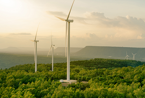 windmills