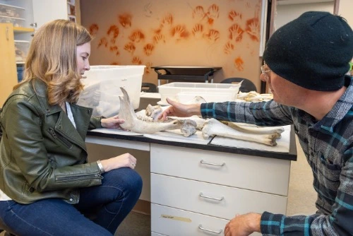 A man and a woman examine a jawbone
