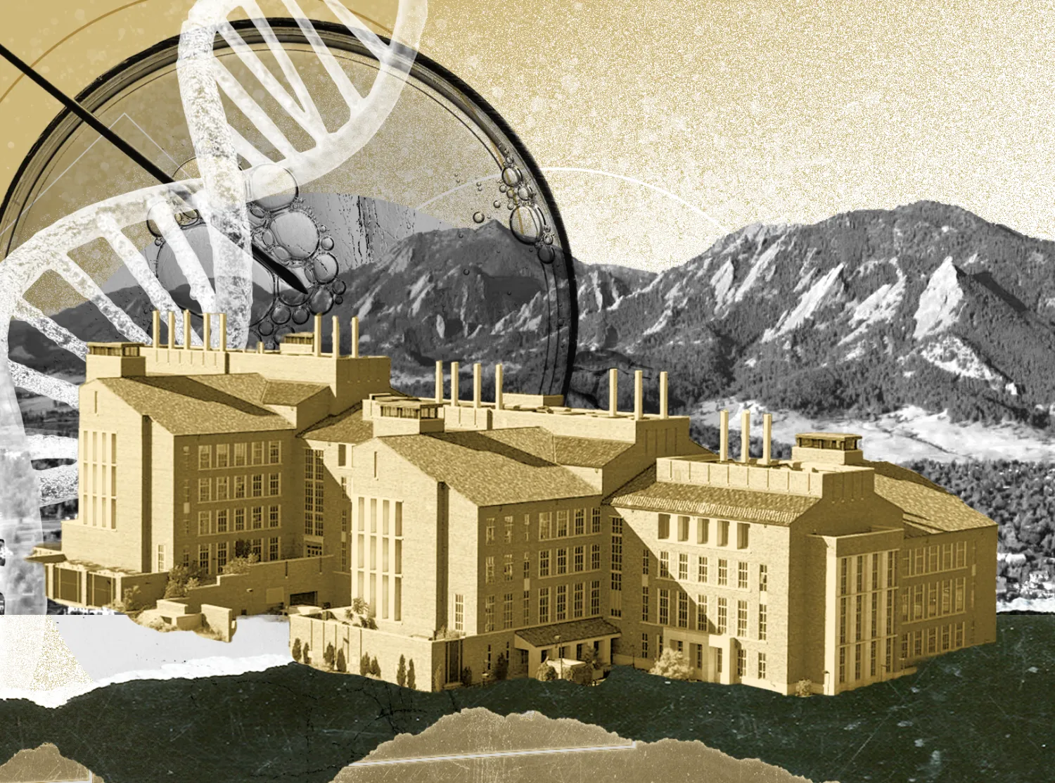 Collage in CU colors of Jennie Smoly Caruthers Biotechnology Building (JSCBB) in front of the flatiron mountains with a dna strand and a photo of microscopic petrie dish and tools. 