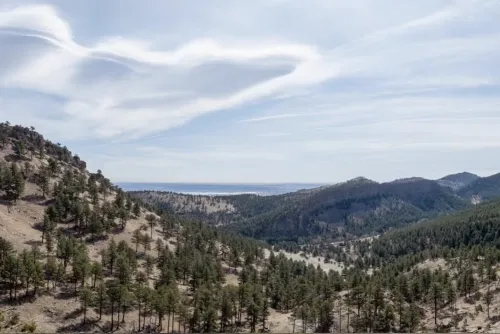 Spruce gulch